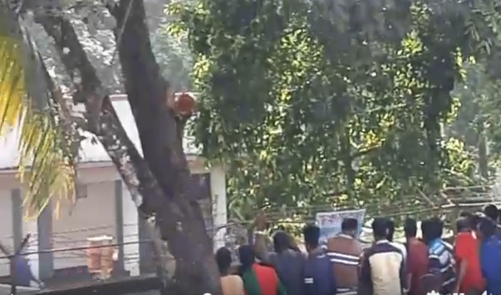 বেনাপোলে বিএসএফ সদস্য আটক, পতাকা বৈঠকের