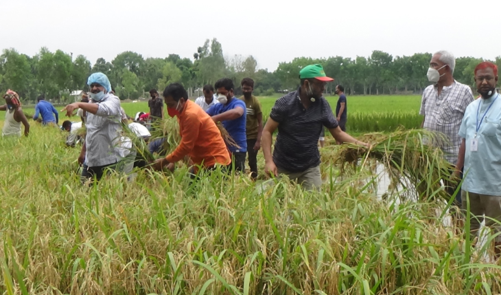 কৃষি মন্ত্রীর নির্দেশে কৃষকের ধান কেটে দ