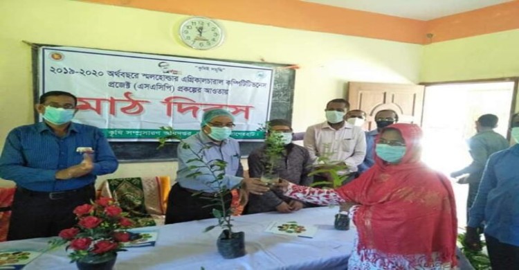 কৃষকদের মাঝে সাড়ে ৭’শ লেবু চারা বিতরণ
