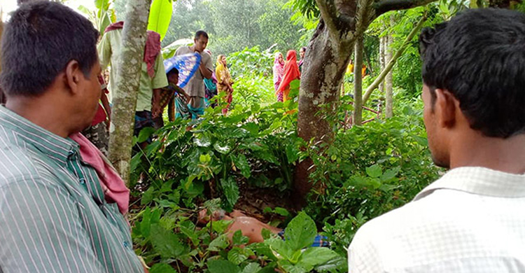 ঝিনাইদহে শিশু ধর্ষণে অভিযুক্ত বৃদ্ধের আত