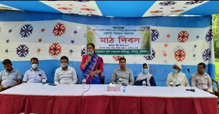সখীপুরে রোপা আমন ধানের মাঠ দিবস অনুষ্ঠিত