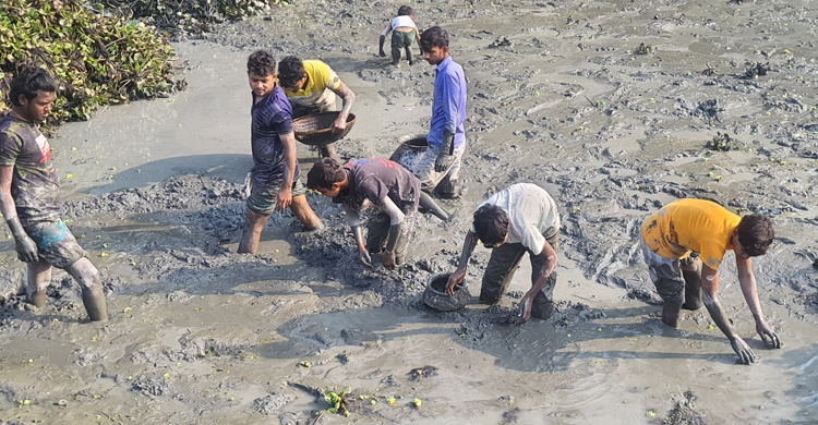 টাঙ্গাইলে জল কাঁদায় মাছ ধরা উৎসব