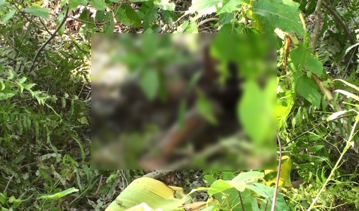 দেলদুয়ারে অর্ধগলিত যুবকের মরদেহ উদ্ধার দেলদুয়ারে অর্ধগলিত যুবকের মরদেহ উদ্ধার