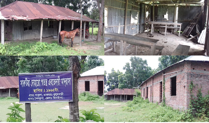 অর্ধশত বছরেও আলোর মুখ দেখেনি স্বতন্ত্র এবতেদায়ী মাদরাসা! অর্ধশত বছরেও আলোর মুখ দেখেনি স্বতন্ত্র এ