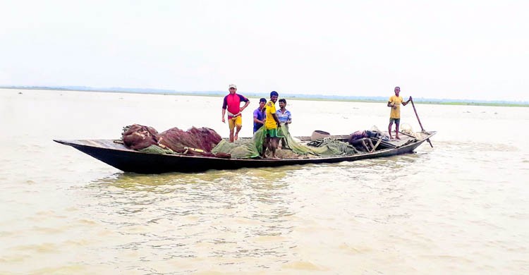  যমুনায় অবাধে চলছে মা মাছ নিধন