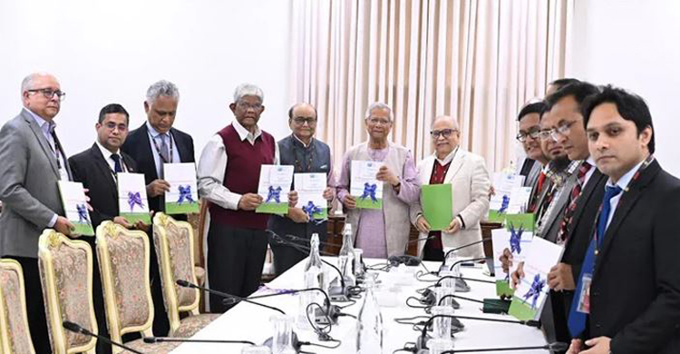 প্রধান উপদেষ্টার কাছে কর কাঠামো পুনর্বিন